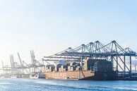 Grand cargo porte-conteneurs amarré dans le port de Rotterdam par Sjoerd van der Wal Photographie Aperçu