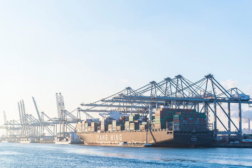 Großes Frachtcontainerschiff koppelte im Hafen von Rotterdam von Sjoerd van der Wal Fotografie