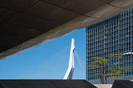 Een uniek doorkijkje op de Erasmusbrug in Rotterdam van MS Fotografie | Marc van der Stelt thumbnail