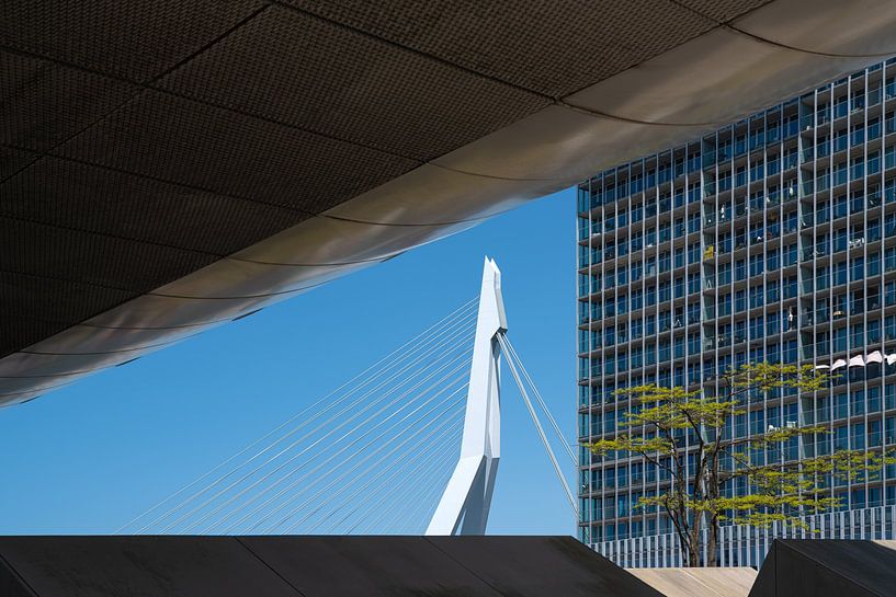 Een uniek doorkijkje op de Erasmusbrug in Rotterdam van MS Fotografie | Marc van der Stelt
