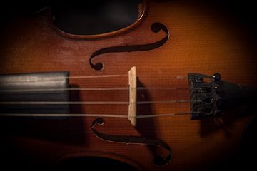 The Violin by Dick Carlier