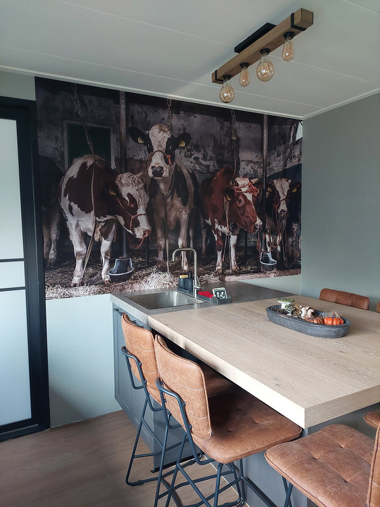 Dutch cows in an old barn, by Inge Jansen