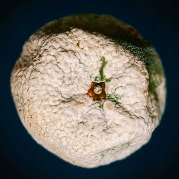vergankelijkheid van een mandarijn van Miny'S