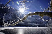 Plansee Bergsee im Winter
