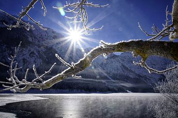 Plansee Bergsee im Winter