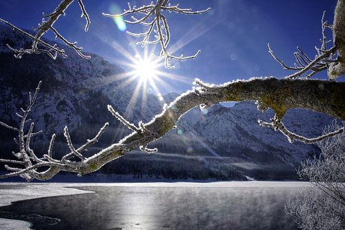 Plansee Bergsee im Winter von Miriam Schwarzfischer Fotografie