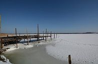 zugefrorene See im Fischerhafen Klein Zicker von GH Foto & Artdesign Miniaturansicht