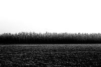Abstract Black and White image nature