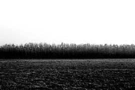 Abstraktes Schwarz-Weiß-Bild Natur von Linsey Aandewiel-Marijnen