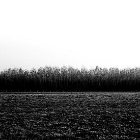 Image abstraite en noir et blanc de la nature sur Linsey Aandewiel-Marijnen