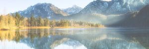 Morgennebel am Schwansee