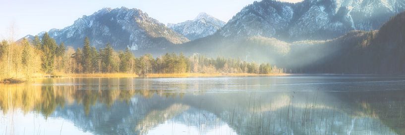 Morgennebel am Schwansee von Walter G. Allgöwer