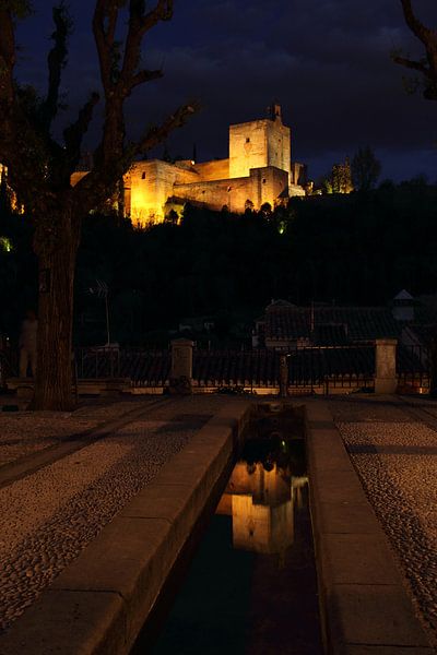 Alhambra Reflection van Cornelis (Cees) Cornelissen