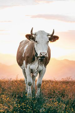Hübsche Kuh auf der österreichischen Alm - Vertikal von Sophia Eerden