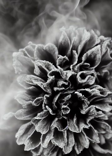 TW living - BLACK MOMENTS 03