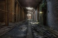 Cooling halls in an abandoned brick factory by Eus Driessen thumbnail