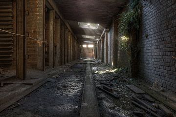 Cooling halls in an abandoned brick factory by Eus Driessen