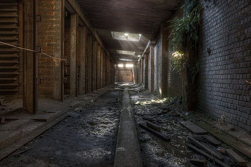 Kühlhallen in einer verlassenen Ziegelei von Eus Driessen