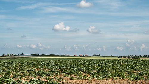 Landscape in Mechelen-Bovines (B)