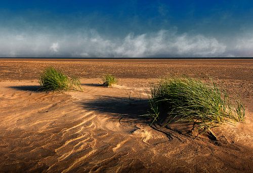 Strand bij Goedereede