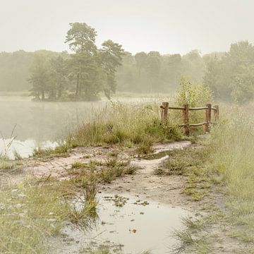 Mistige ochtend. Ven bij Oisterwijk. van Alie Ekkelenkamp