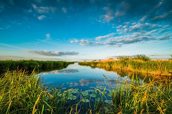 Uitzicht over de Wieden (wijden)
