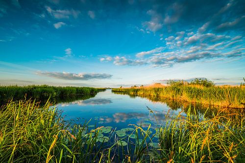 View over the Weeding (dedication)