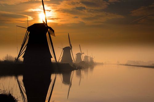 Redewendung, die besagt, dass es sich lohnt, morgens früh aufzustehen und mit der Arbeit zu beginnen von Evy De Wit