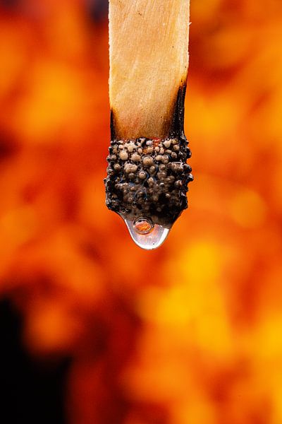 Play with fire (3/5) by Jenny Kambeck