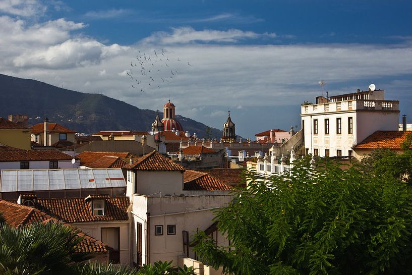 Historische Häuser von La Orotava von Anja B. Schäfer