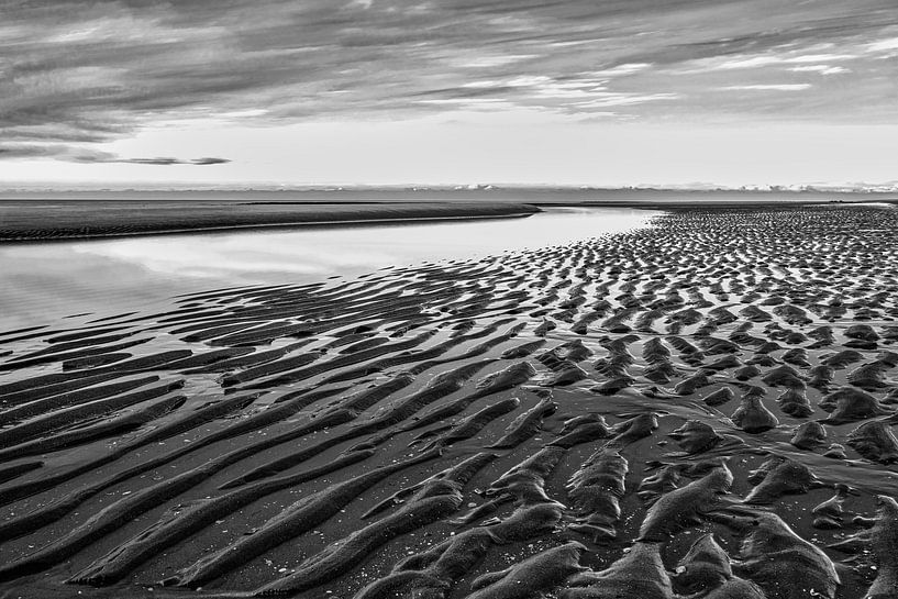 zeezicht met de Noordzee en het strand van eric van der eijk