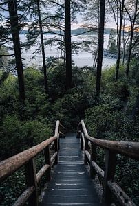 Escalier vers la plage de Tonquin