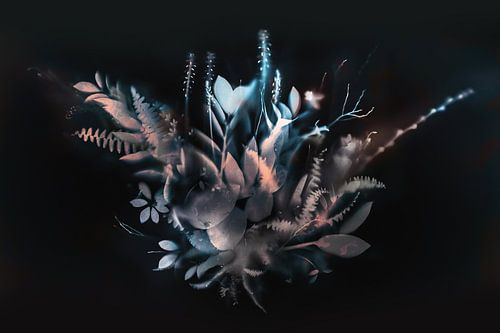 Natural Veil II (negative)