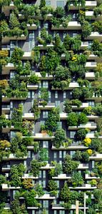 Bosco Verticale Mailand Baumhäuser von altmodern