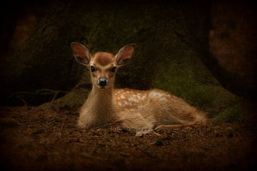 Bambi by Heike Hultsch