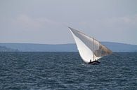 Afrika | Zeilboot op het Victoriameer in Tanzania in de Nederlandse vlag van Servan Ott thumbnail