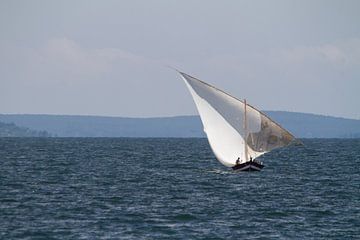 Afrika | Zeilboot op het Victoriameer in Tanzania in de Nederlandse vlag von Servan Ott