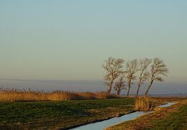 Naar Lemmer by Koos van Woudenberg