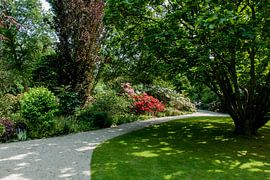 Rotterdam-Botanische Tuinen Trompenburg 06 by Hans Blommestijn