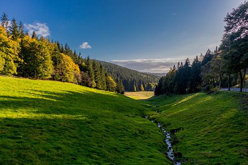 Herfstwandeling door het Thüringer Woud