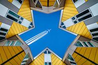 Kubuswoningen Rotterdam van Wil Crooymans thumbnail