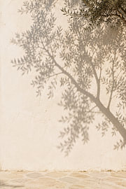 Art de l'ombre : pierre texturée « Wabi Sabi » et feuille d'olivier