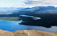 View over the wilderness