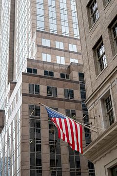 New York USA building flag by MANON BEERNINK