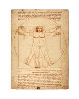 Thick version Vitruvius Leonardo Da Vinci
