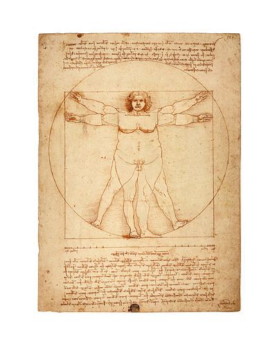 Dikke versie Vitruvius Leonardo Da Vinci