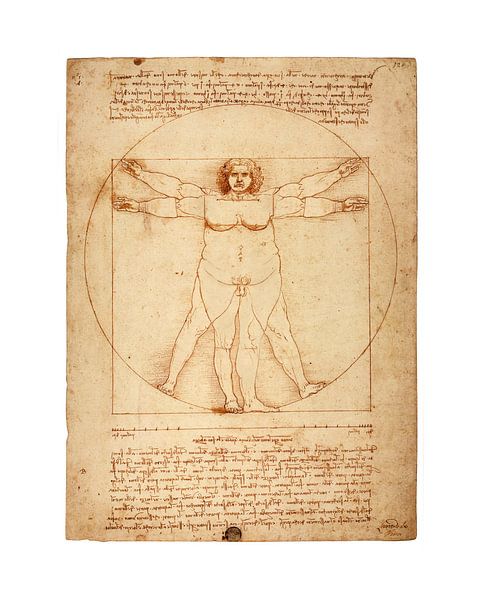 Dikke versie Vitruvius Leonardo Da Vinci van Peter Hermus