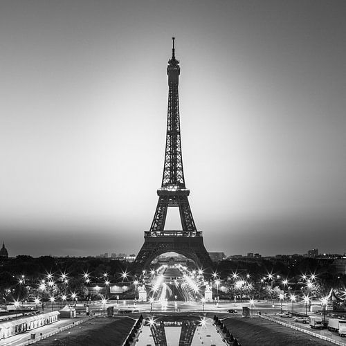 The Eiffel Tower in Black and White