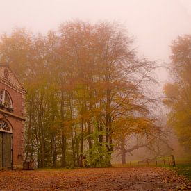 Forêt d'automne dans le brouillard avec une ancienne remise sur Ideasonthefloor