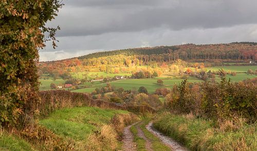 Herfstkleuren in Zuid-Limburg